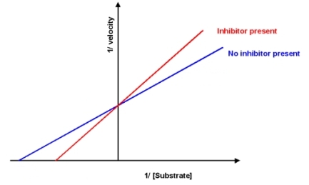 A new drug has been discovered which inhibits the reaction catalyzed by enzyme A.Based on the information shown below,what is this drug?   A) competitive inhibitor B) uncompetitive inhibitor C) mixed inhibitor D) allosteric activator E) More information is required to answer the question.