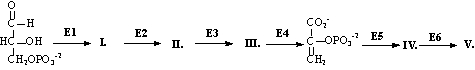 Consider the following portion of the glycolytic sequence catalyzed by the enzymes above the arrows.Which products(s) will produce ATP?   A) I,IV B) II,IV C) II only D) III,IV E) IV only