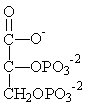 Which of the following compounds contains a  high-energy  bond and is used to produce ATP by substrate-level phosphorylation in glycolysis? A)    B)    C)    D)    E)   