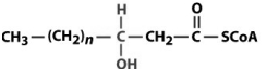 Considering the figure below,what compound would be formed by action of acyl-CoA dehydrogenase?   A)    B)    C)    D)    E)   