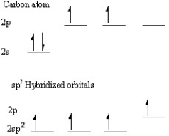   If we follow Hund's rule and fill each orbital with one electron and then promote one to the lone atomic p orbital, there are single electrons in the three sp hybrid orbitals that can form sigma overlaps with 2-H orbitals and one other sp<sup>2</sup> hybridized carbon orbital. The atomic p orbital with one electron can then form a pi bond by a side to side overlap with the other p orbital from the other sp<sup>2</sup> hybridized carbon atom.