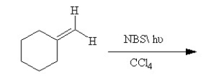 Draw the structures of the two major products formed in the following reaction. Indicate which of the two structures would be predicted to predominate under thermodynamic condition and explain why.  