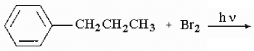 Predict the major monobromination product in the following reaction.  