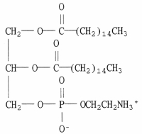Which of the following terms correctly describe(s)  the compound below?   A)  a phospholipid B)  a phosphoglyceride C)  a cephalin D)  a molecule which contains a polar head group E)  all of the above