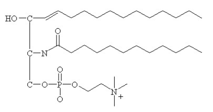 Phospholipids are generally produced from the phosphatidate core structure with a polar head modifying group such as choline. However, a phospholipid called sphingomyelin (see below) is found abundantly in brain and fast neurons. Circle and label all structural features of sphingomyelin which are different from lecithin.  