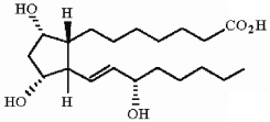 Which of the following terms best describes the compound below?   A)  a lecithin B)  a diterpene C)  a steroid D)  a glyceride E)  a prostaglandin