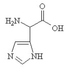 Given the following pKa values, what is the major ionization state of histidine at pH 11? (α-COOH = 2.0, α-NH<sub>3</sub><sup>+</sup> = 9.0 and R-group imine = 6.5)  A)    B)    C)    D)    E)   