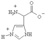 Given the following pKa values, what is the major ionization state of histidine at pH 11? (α-COOH = 2.0, α-NH<sub>3</sub><sup>+</sup> = 9.0 and R-group imine = 6.5)  A)    B)    C)    D)    E)   