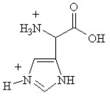 Given the following pKa values, what is the major ionization state of histidine at pH 11? (α-COOH = 2.0, α-NH<sub>3</sub><sup>+</sup> = 9.0 and R-group imine = 6.5)  A)    B)    C)    D)    E)   