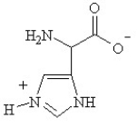 Given the following pKa values, what is the major ionization state of histidine at pH 11? (α-COOH = 2.0, α-NH<sub>3</sub><sup>+</sup> = 9.0 and R-group imine = 6.5)  A)    B)    C)    D)    E)   