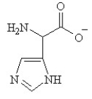 Given the following pKa values, what is the major ionization state of histidine at pH 11? (α-COOH = 2.0, α-NH<sub>3</sub><sup>+</sup> = 9.0 and R-group imine = 6.5)  A)    B)    C)    D)    E)   