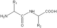 Show the mechanism for the hydrolysis of the following dipeptide?  