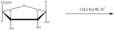 What is the major organic product of the following reaction?  