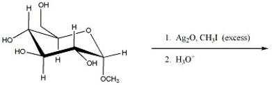 Provide the major organic product of the reaction shown below.  