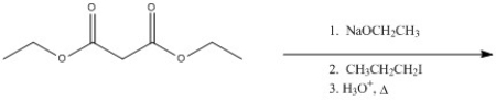 Provide the major organic product of the following reaction.  
