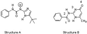 The compounds below are base pairs used to form supramolecular polymers (Org. Lett. 2011, 240) . They are held together by three intermolecular hydrogen bonds and each contains one intramolecular hydrogen bond. Which atom in structure B forms a hydrogen bond with the circled hydrogen in structure A?   A)  1 B)  2 C)  3 D)  4