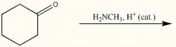 Provide the major organic product of the following reaction.  