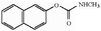How many asymmetric carbons are present in the compound below?  