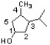 For the structure shown below, draw the stereoisomer having a configuration of (1R,3S,4S) in a perspective structure.  