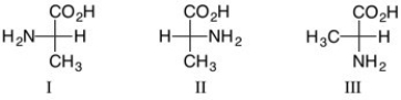 Which of the following are acceptable Fischer projections for S-alanine, NH<sub>2</sub>CH(CH<sub>3</sub>) COOH?   A)  I only B)  II only C)  III only D)  I and III