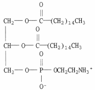 Which of the following terms correctly describe(s)  the compound below?   A)  a phospholipid B)  a phosphoglyceride C)  a cephalin D)  a molecule which contains a polar head group E)  all of the above