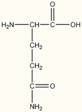 What is the one letter symbol of the amino acid below?   A)  G B)  Q C)  W D)  R E)  M