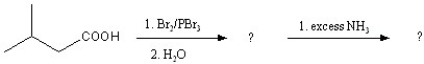 What is the major end product of the following reaction series?   A)  Ala B)  Gly C)  Leu D)  Ile E)  Val