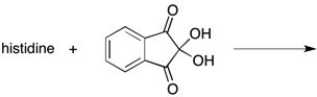 Show all organic products when ninhydrin reacts with histidine.  