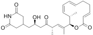 Shown below is the structure of Lactimidomycin, a potent inhibitor of cell migration, proliferation and protein synthesis. Identify the carboxylic acid derivative/s in the structure of Lactimidomycin.   A)  Ester B)  Anhydride C)  Nitrile D)  Imine