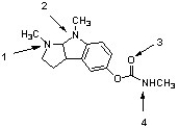 Physostigmine is used in the treatment of glaucoma. Within this structure, the atom indicated by ________ is most basic, while atom ________ is least basic.   A)  1 (most basic) , 4 (least basic)  B)  1 (most basic) , 3 (least basic)  C)  2 (most basic) , 4 (least basic)  D)  2 (most basic) , 3 (least basic)  E)  None of the above