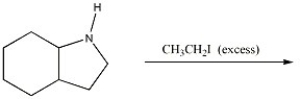 Provide the major organic product of the following reaction.  