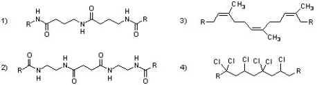 Which of the following polymers can be classified as copolymers?   A)  1 & 2 B)  2 & 4 C)  1 & 4 D)  2 & 3 E)  1, 3, & 4