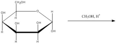 What is the major organic product of the following reaction?  