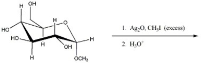 Provide the major organic product of the reaction shown below.  
