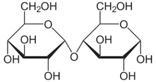 Would the disaccharide shown below give a positive Tollin's test?  