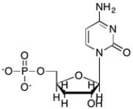 Which structure is deoxycytidine monophosphate? A)    B)    C)    D)   