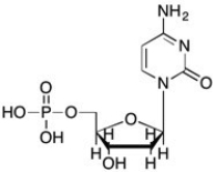 Which structure is deoxycytidine monophosphate? A)    B)    C)    D)   