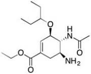 The structure of Tamiflu, an antiinfluenza drug, is shown below (Organic Lett. 2007, 259). Circle and identify each functional group in Tamiflu.  