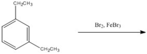 Provide the major organic product of the following reaction.  