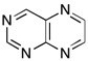 Classify each nitrogen atom in the compound below as strongly basic or weakly basic, according to the availability of its lone pair of electrons.  