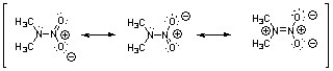 All nitrogen and oxygen atoms are sp<sup>2</sup> hybridized.  