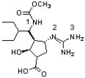 Peramivir, shown below, has shown to be effective against the influenza B virus (J. Med. Chem. 2010, 6421) . Which sequence ranks the following nitrogen atoms in order of increasing basicity?   A)  2<3<1 B)  3<1<2 C)  1<3<2 D)  1<2<3