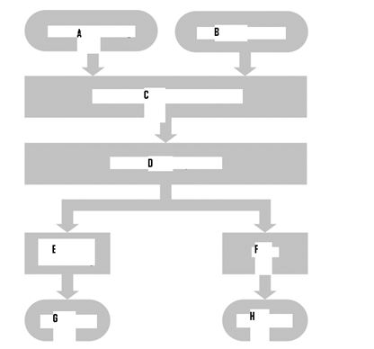 MATCHING Refer to the following figure:    -What is A? A) MRP B) Demand Management C) Purchasing D) Sales Forecasting E) Detailed Scheduling F) Starting Inventory G) Production H) Sales and Operations Planning