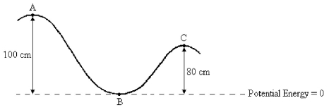 FIGURE 8-5   A 2.0-g bead slides along a wire, as shown in Figure 8-5. At point A, the bead is at rest. Neglect friction and use g = 10 m/s<sup>2</sup>. -Refer to Figure 8-5. What is the kinetic energy of the bead at point B? A)  0 J B)  2.0 x 10<sup>-2</sup> J C)  16 x 10<sup>-3</sup> J D)  0.40 J E)  There is not enough information to solve this problem.