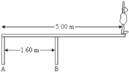 FIGURE 11-5   -An 82.0 kg-diver stands at the edge of a light 5.00-m diving board, which is supported by two pillars 1.60 m apart, as shown in Figure 11-5. Find the force exerted by pillar B. A)  1.71 kN downwards B)  1.71 kN upwards C)  2.51 kN downwards D)  2.51 kN upwards E)  3.44 kN upwards