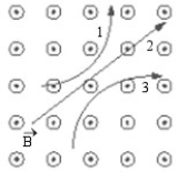 FIGURE 22-1   -Three particles travel through a region of space where the magnetic field is out of the page, as shown in Figure 22-1. The electric charge of each of the three particles is, respectively, A)  1 is neutral, 2 is negative, and 3 is positive. B)  1 is neutral, 2 is positive, and 3 is negative. C)  1 is positive, 2 is neutral, and 3 is negative. D)  1 is positive, 2 is negative, and 3 is neutral. E)  1 is negative, 2 is neutral, and 3 is positive.
