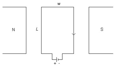 FIGURE 23-5   -A rectangular loop of wire carrying a current of 2.0 A that can rotate is placed in a magnetic field with a strength of 0.40 T as shown in Figure 23-5. The length of the loop L is 0.16 m and its width w is 0.040 m. What is the magnetic flux through the loop when the plane of the loop is perpendicular to the magnetic field? A)  13 × 10<sup>-3</sup> T∙ m<sup>2</sup> B)  -2.6 × 10<sup>-3</sup> T∙ m<sup>2</sup> C)  0.80 T∙ m<sup>2</sup> D)  2.6 × 10<sup>-3</sup> T∙ m<sup>2</sup> E)  0 T∙ m<sup>2</sup>