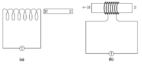 FIGURE 23-7   -A bar magnet with its north pole pointing toward a coil of wire with a cross-sectional area of 0.020 m<sup>2</sup> and seven turns is thrust into the coil as shown in Figure 23-7(b) . If the rate of change in the strength of the magnetic field caused by the motion of the bar magnet is 0.040 T/s, what is the direction of the induced emf in the coil of wire (when looking at the end of the coil where the N pole is coming toward you) ? A)  counterclockwise B)  clockwise C)  No emf is induced. 