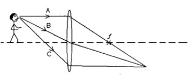 FIGURE 26-3   Diff: 1 Var: 1 Page Ref: Sec. 26-6 -A 3.0 cm tall statue is 48. cm in front of a biconvex lens (focal length 20. cm). (a) Is the image real or virtual? (b) How far is the image from the lens? (c) Is the image upright or inverted? (d) How high is the image?