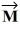 Vectors   And   Obey the equation   +   = 0.These vectors satisfy which one of the following statements? A) Vectors   and   are at right angles to each other. B) Vectors   and   point in the same direction. C) Vectors   and   have the same magnitudes. D) The magnitude of   is the negative of the magnitude of   .